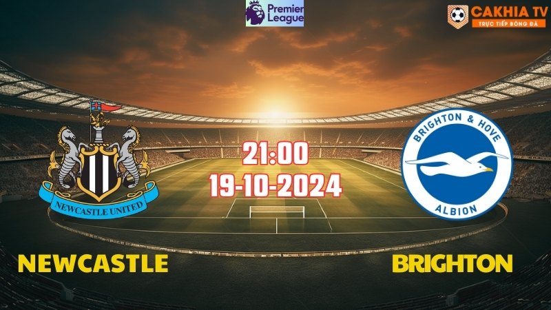 Newcastle vs Brighton