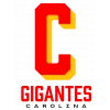 Logo Gigantes Carolina